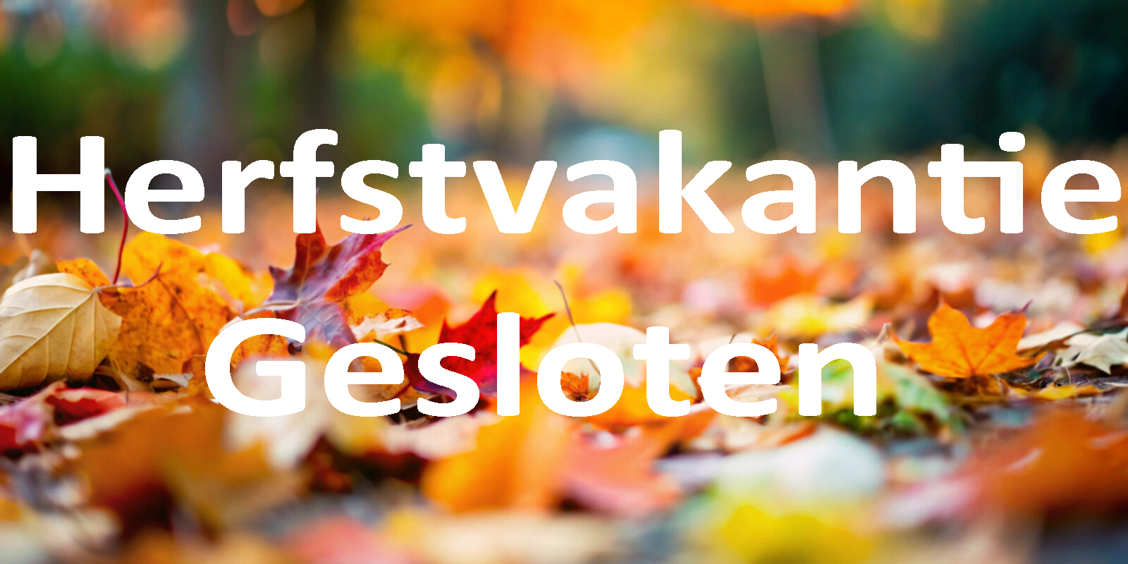 Herfstvakantie 17-10 t/m 25-10 zijn we gesloten